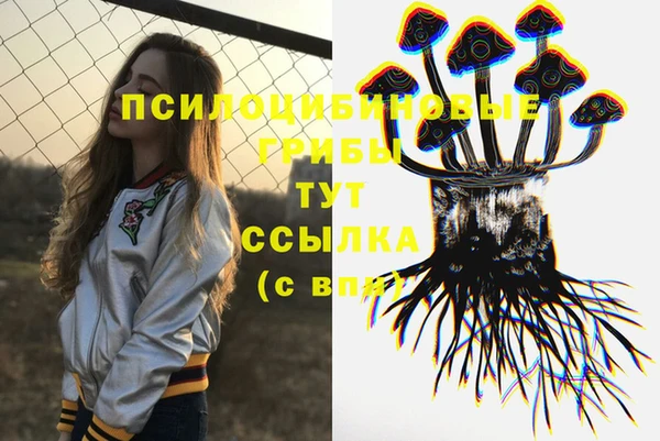 дживик Новодвинск