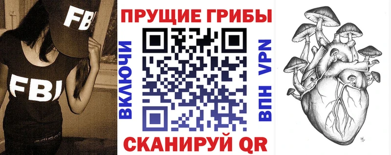 Псилоцибиновые грибы Psilocybe  Энем 
